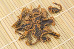 中药材 全蝎