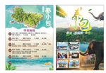泰国旅游