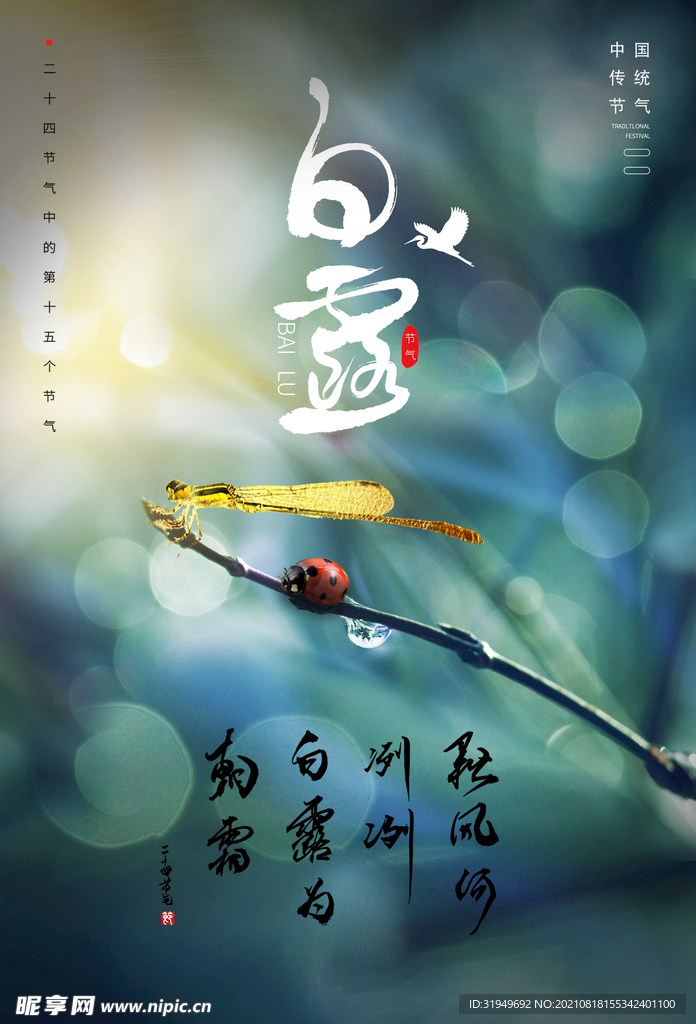 白露