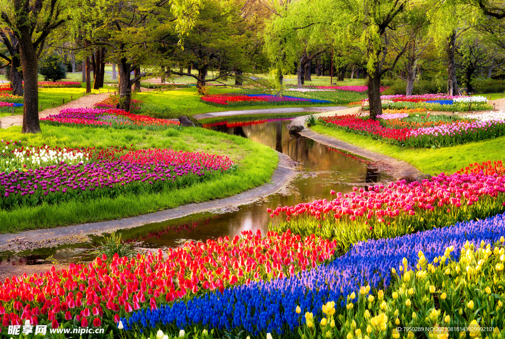 花朵电视背景墙 