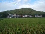 田园风光