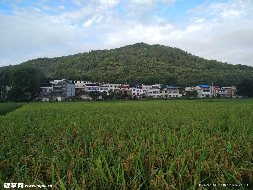 田园风光