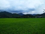 大畈