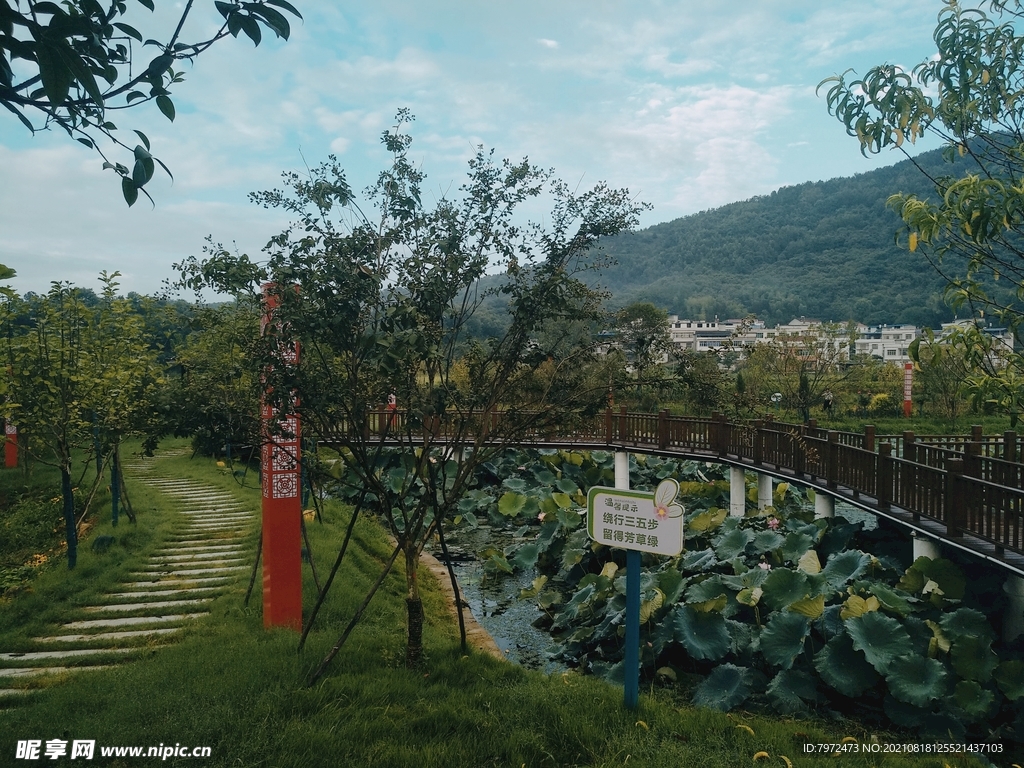 公园绿化景观