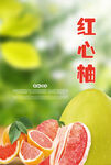红心柚