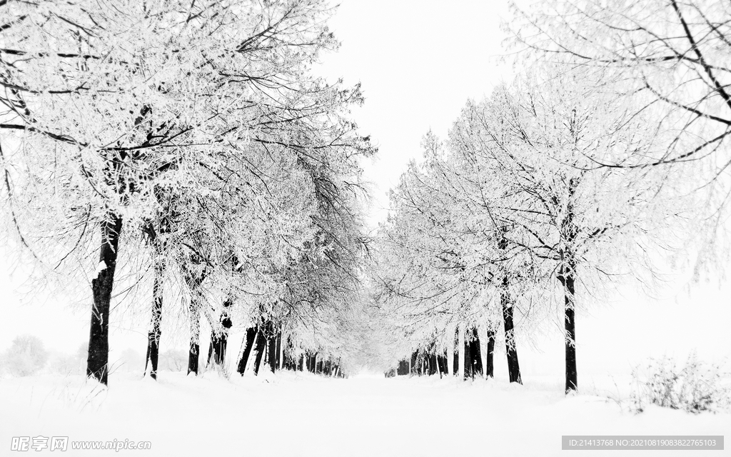 冬日雪景 