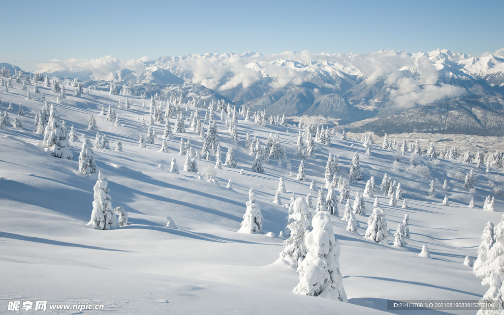 冬日雪景
