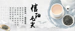 信阳毛尖