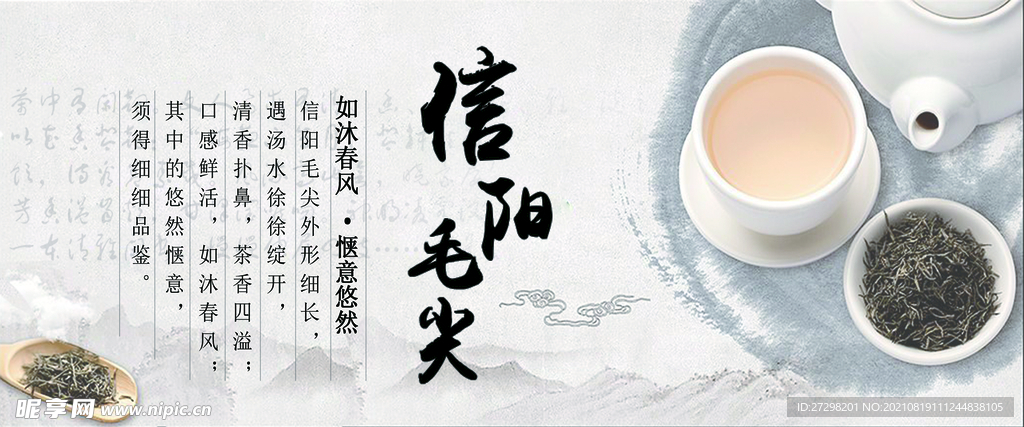 信阳毛尖