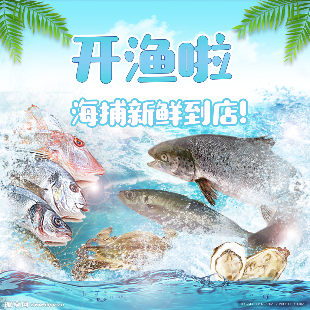 海鲜海报  鱼 