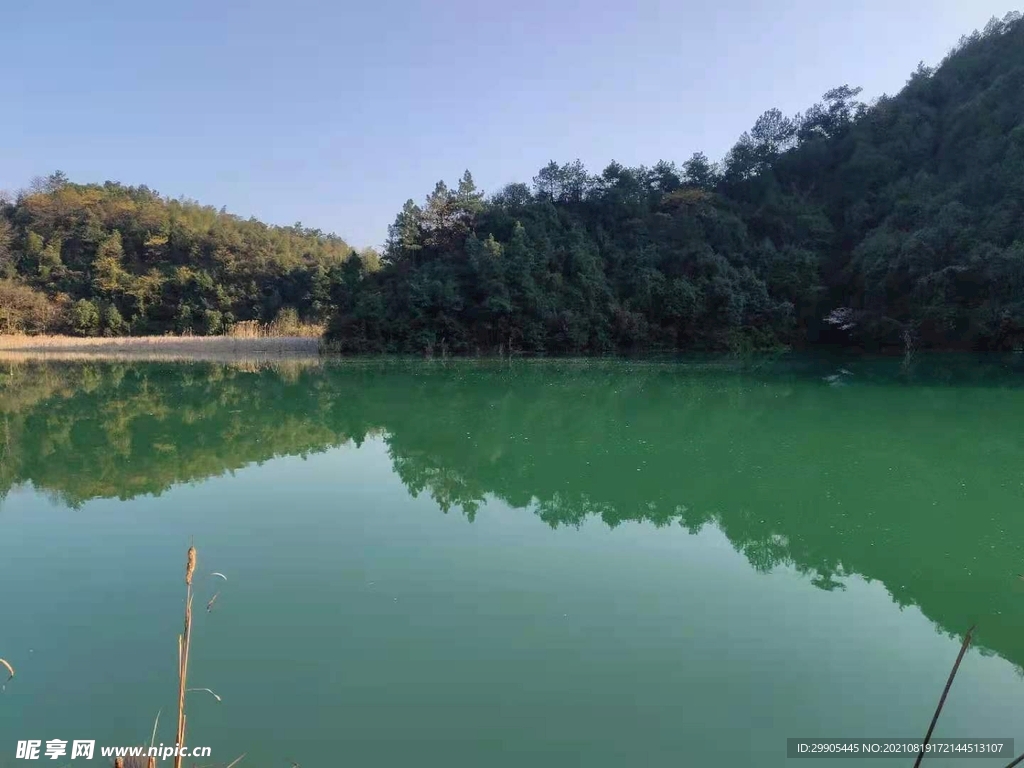 风景