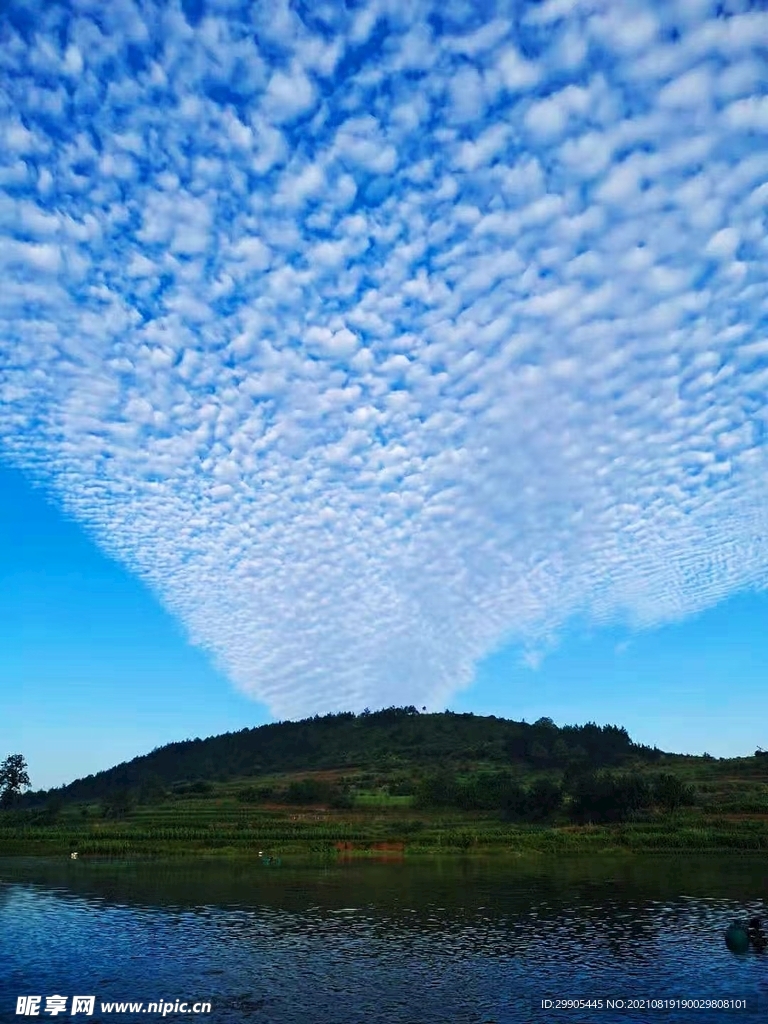 风景