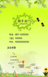 绿色背景 联系我们 