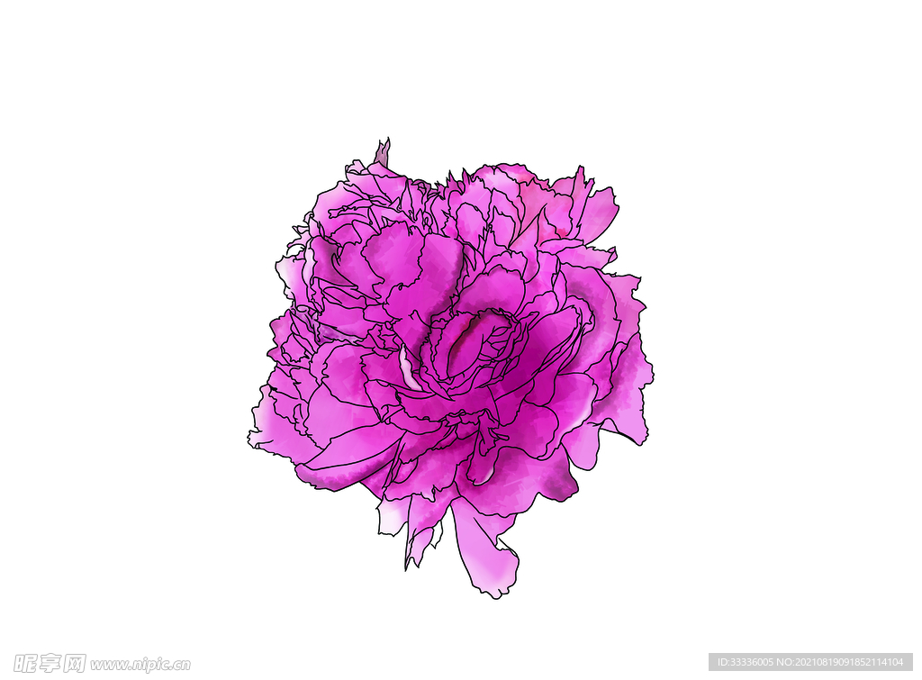 手绘花朵