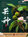 芒种