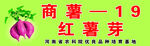 商薯广告