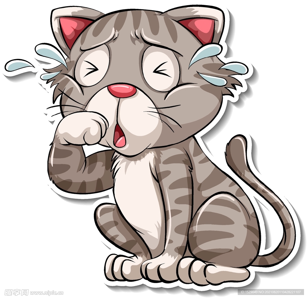 卡通猫 