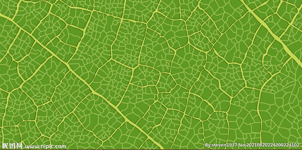树叶底纹植物纹路绿色叶子纹理