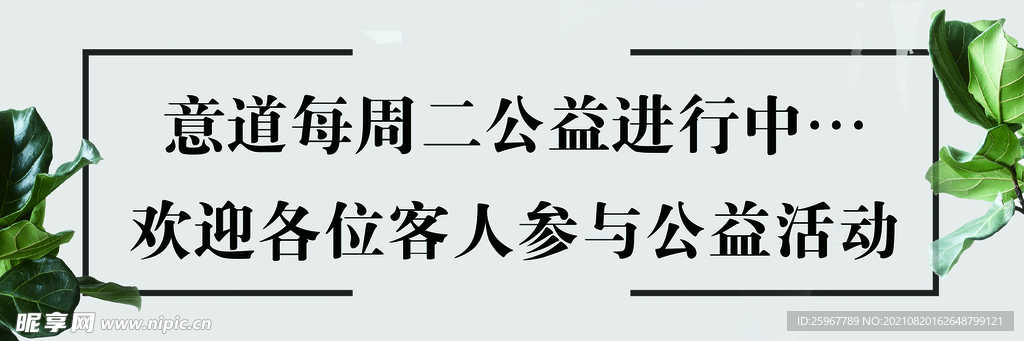 ins背景图