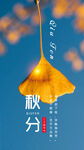  秋分海报 
