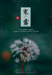 寒露