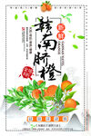 赣南脐橙海报PSD