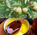 山茶油
