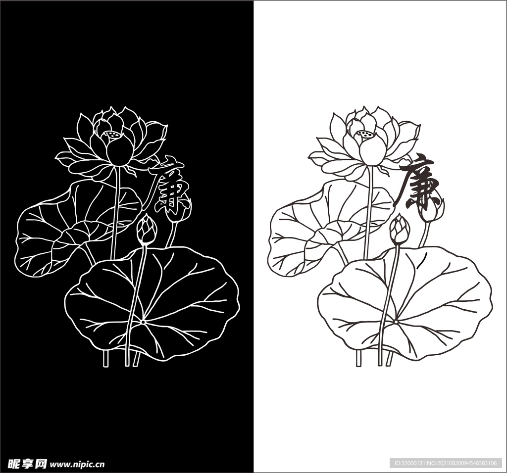 荷花