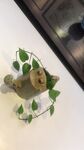 创意洒水壶