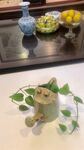 创意洒水壶