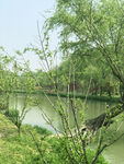 扬州美景