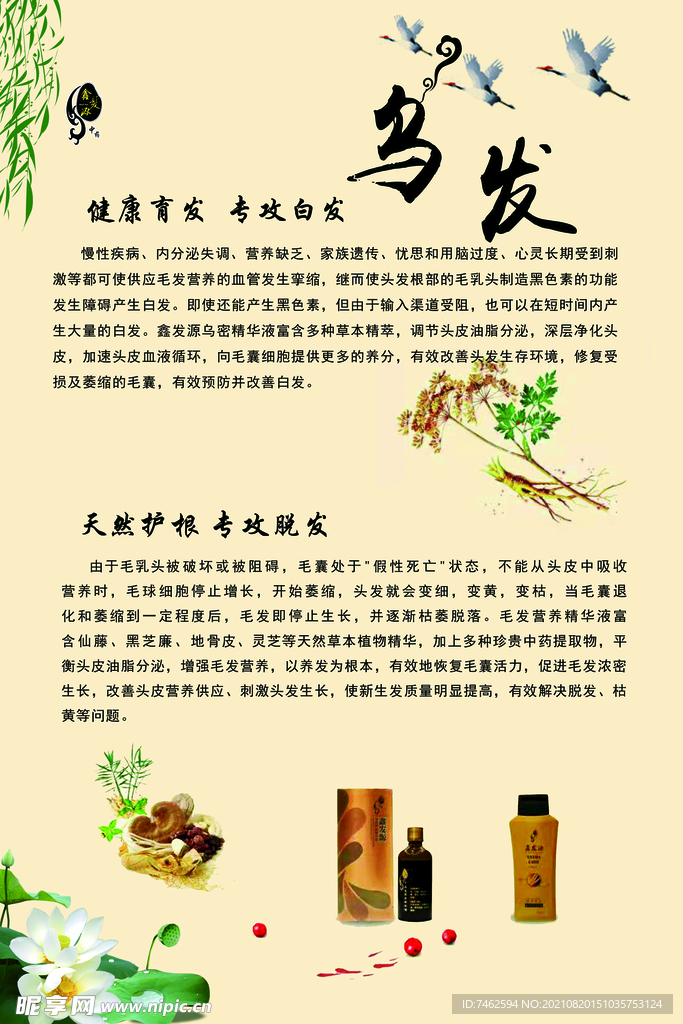 头疗 