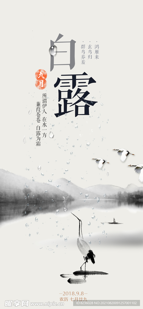 白露
