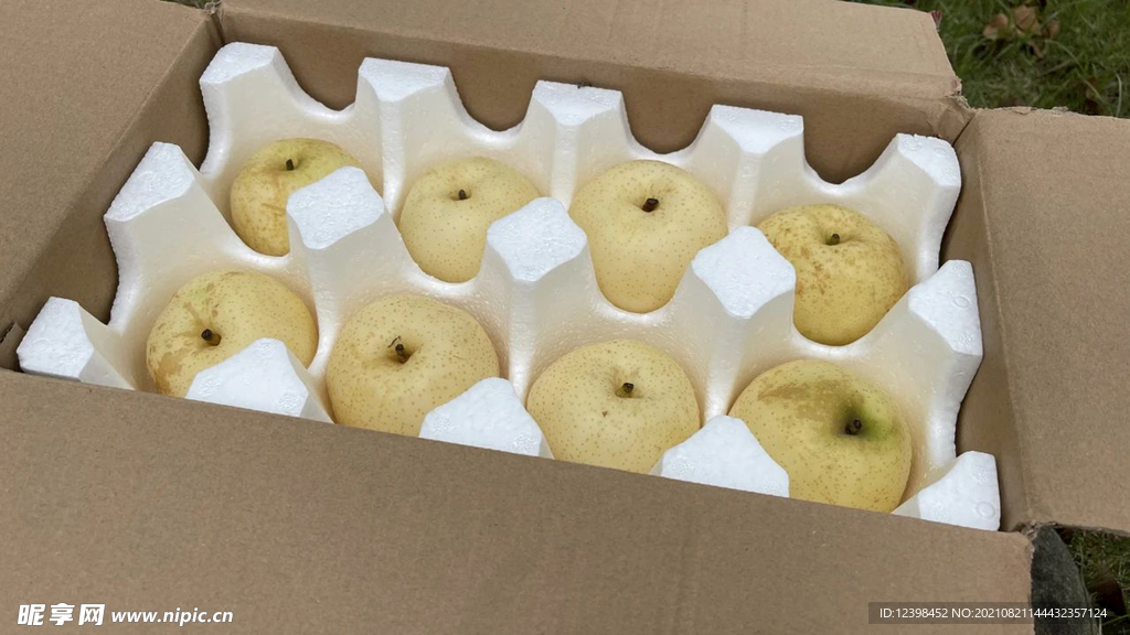 梨子