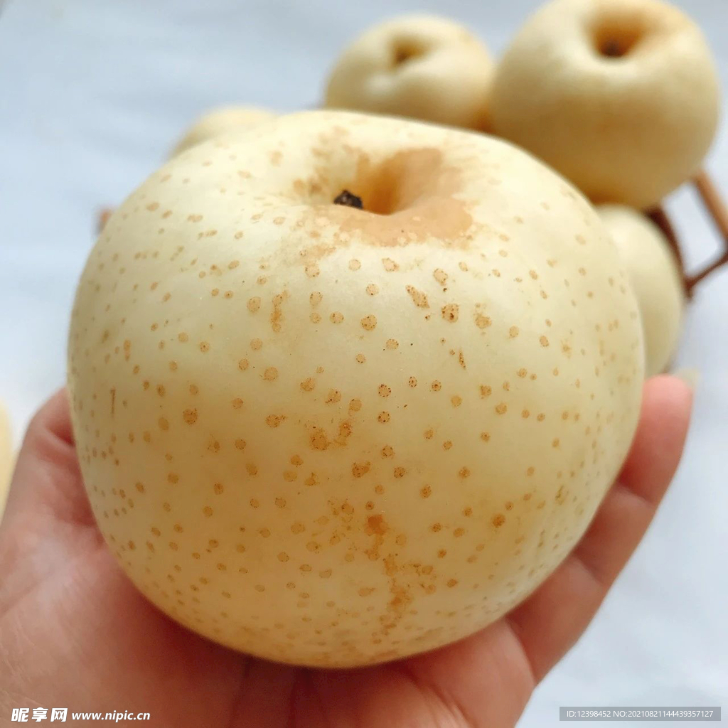梨子