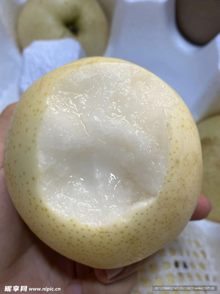梨子