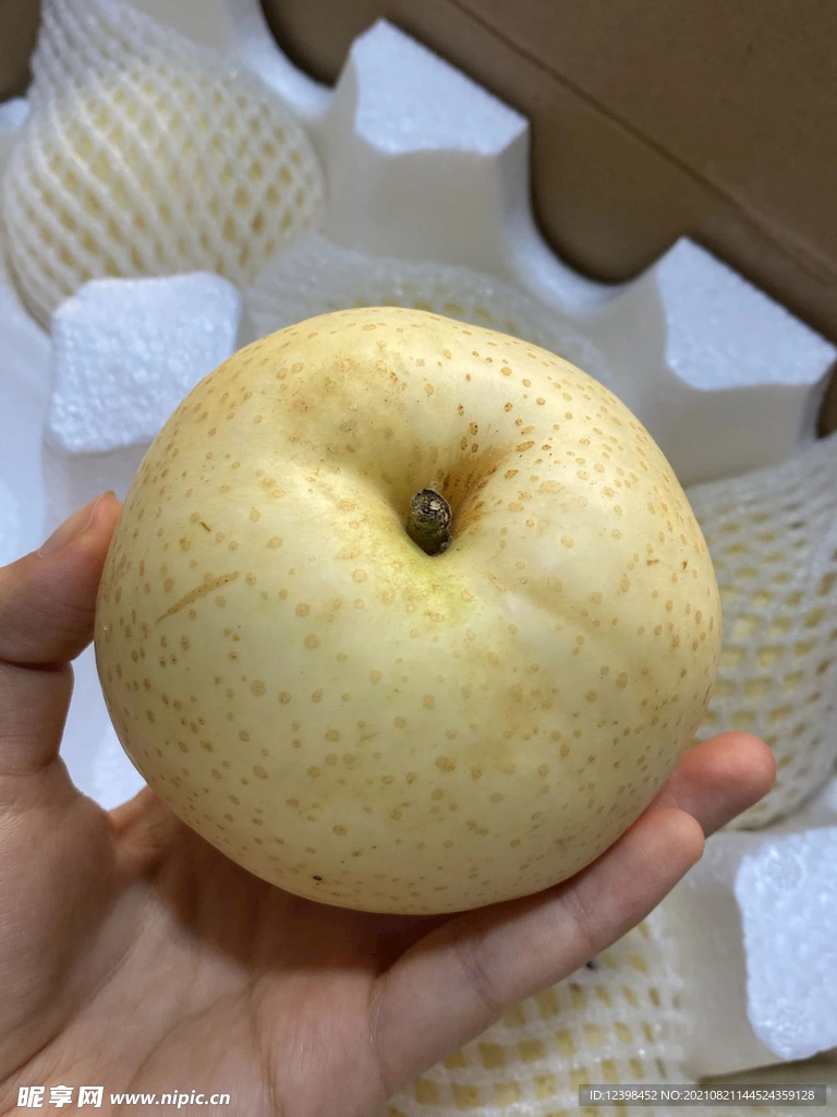 酥梨