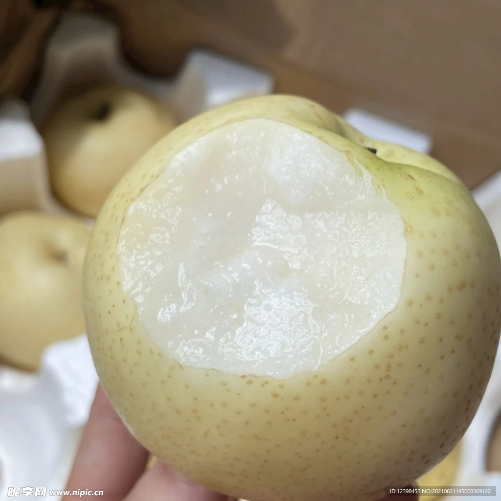 脆甜的酥梨