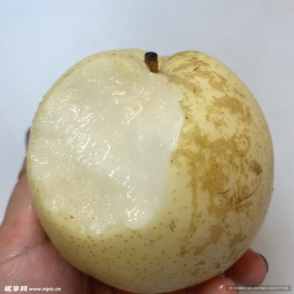 梨子