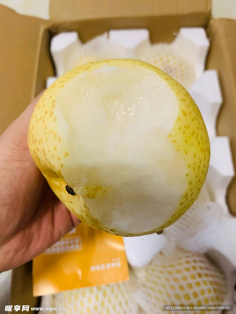 梨子