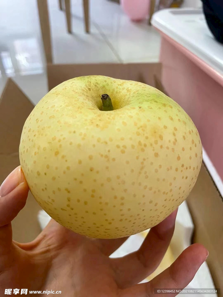 梨子