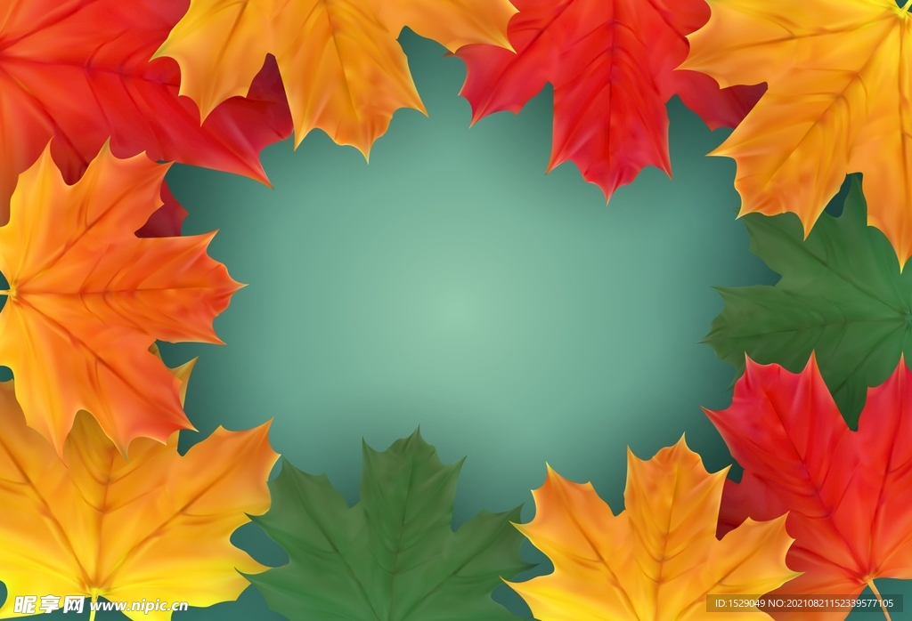 枫叶背景  