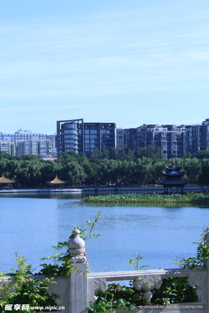 公园风景