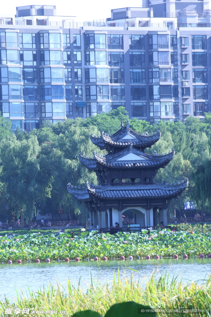 公园风景  
