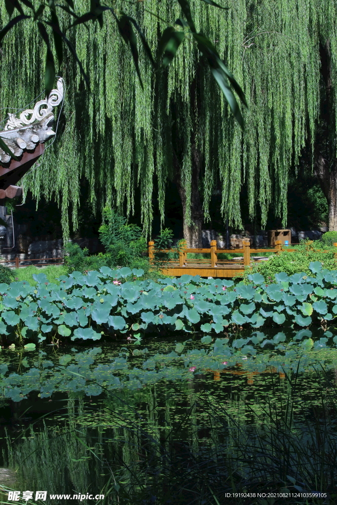 园林风景
