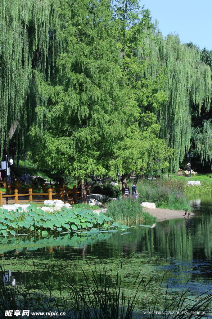 园林风景 