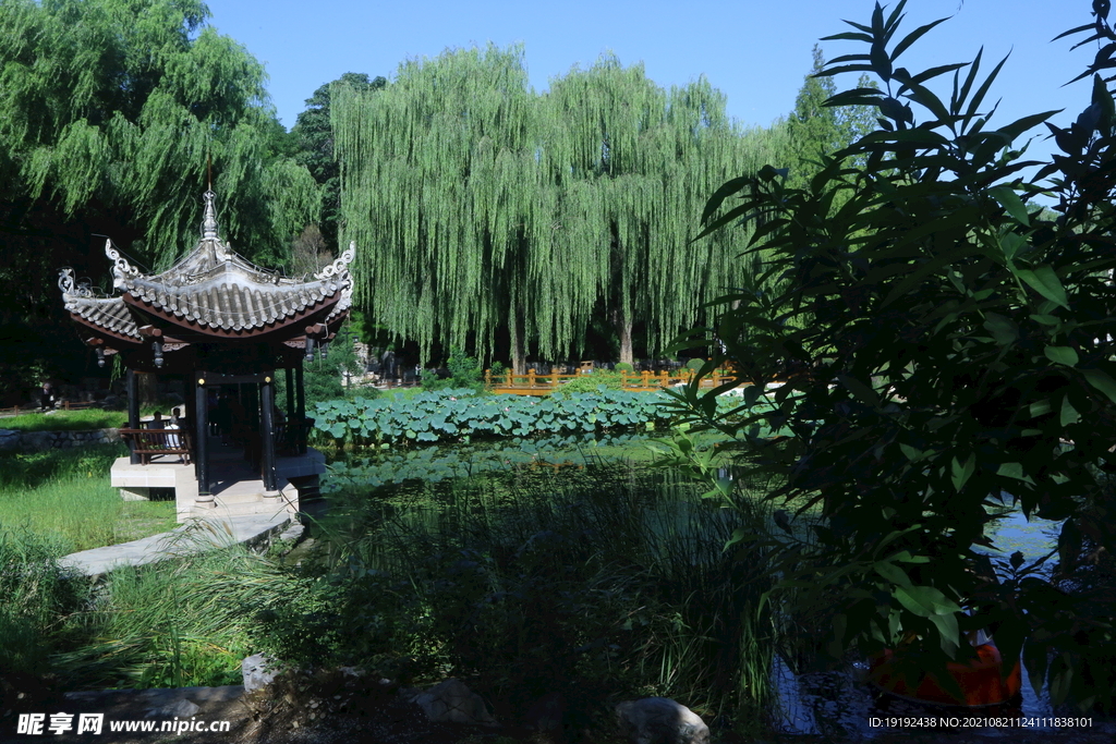 园林风景 