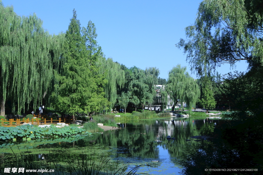 园林风景 