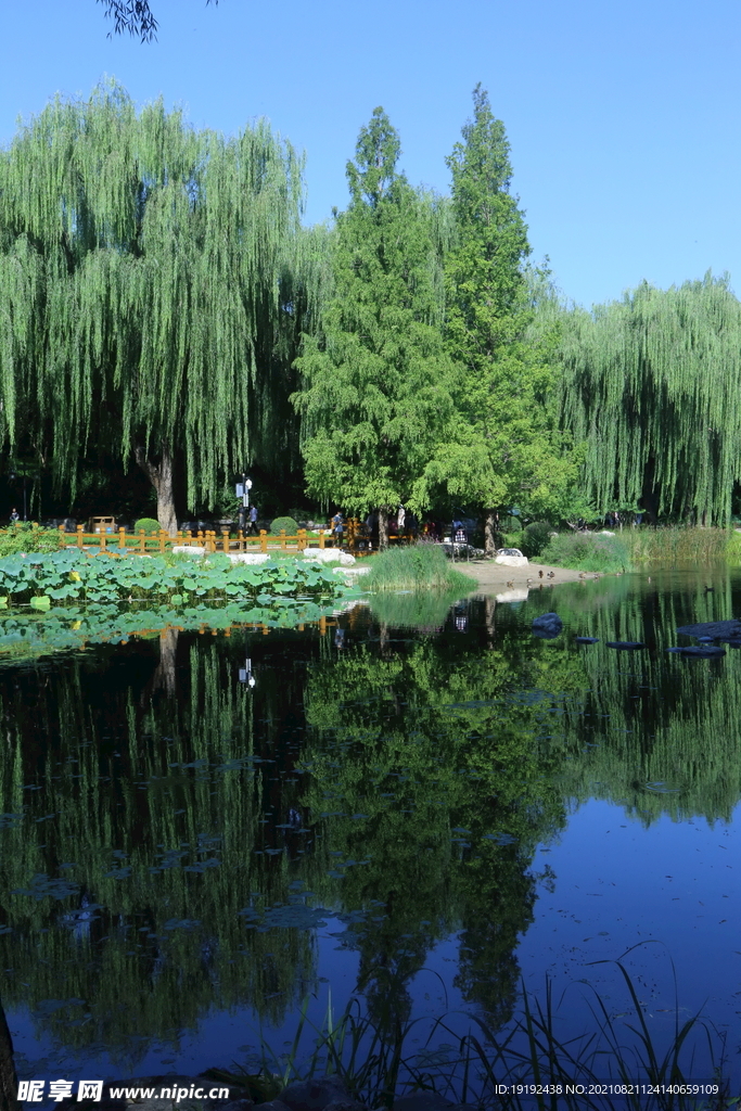 园林风景 