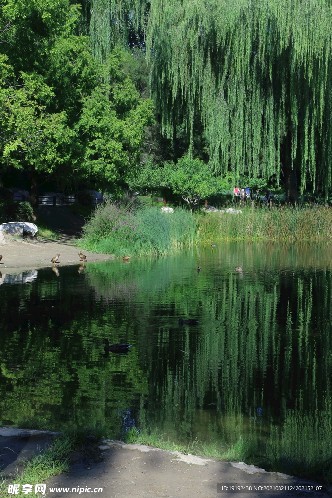 园林风景